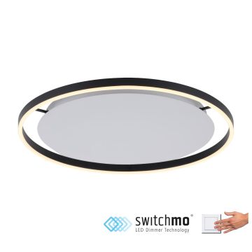 Paul Neuhaus RITUS 15392-13 Lustră de tavan 1x28W/LED 3000K 1100LM IP20