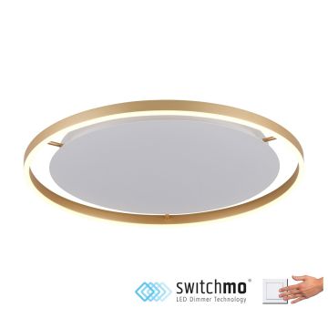 Paul Neuhaus RITUS 15392-60 Lustră de tavan 1x28W/LED 3000K 1550LM IP20