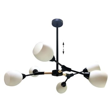 Prezent CITTERIO 18300 Lampă de tavan 6x40W/E14 IP20