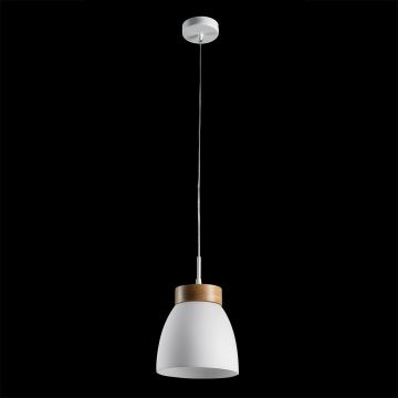 Prezent FOCUS 18068 Lampă cu pendul 1x40W/E27 IP20