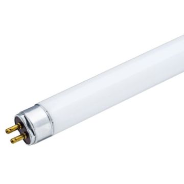 Prezent PICASSO CLASSIC 181 TUBE Bec 8w/t5 2700k