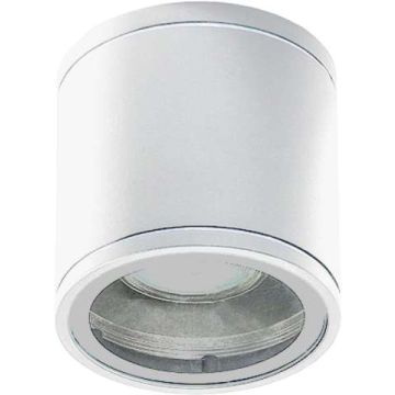 AZzardo JOE AZ3315 Lumină montată pe suprafață 1x35W/GU10 IP54