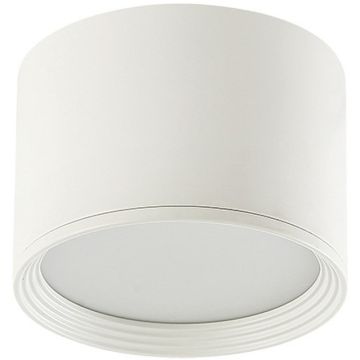 Zambelis CEILING LIGHT 22133 Lumină montată pe suprafață 8W/led 3000K 454lm IP20