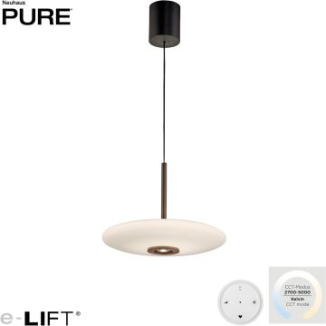 Paul Neuhaus PURE E-Vitrum 2084-34 Lampă cu pendul 1x26W/LED 2700-5700k 1900lm ip20