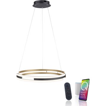 Paul Neuhaus Q-BELUGA 2051-60 Lampă cu pendul 1x62W/LED 2700-5000k 6900lm ip20