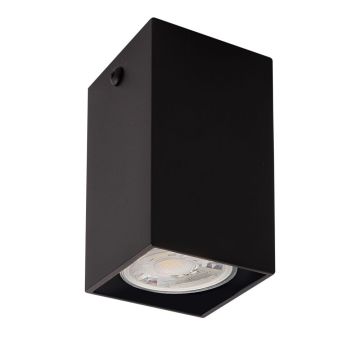 Antigo Doha 1095 Lumină montată pe suprafață 1x10W/GU10 IP20