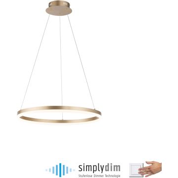 Paul Neuhaus TITUS 2382-60 Lampă cu pendul 1x44W/LED 3000k 5250lm ip20