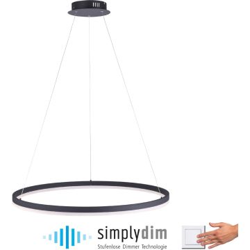Paul Neuhaus TITUS 2383-13 Lampă cu pendul 1x61W/LED ip20