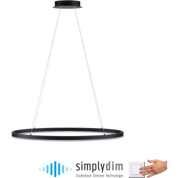 Paul Neuhaus TITUS 2392-13 Lampă cu pendul 1x38W/LED 3000k 1800lm ip20