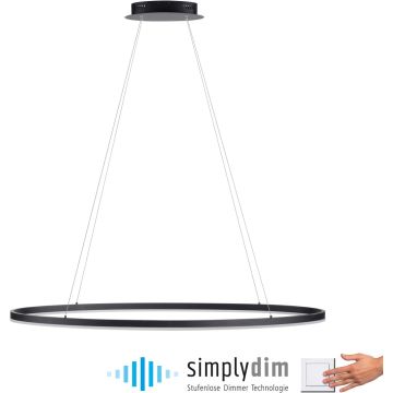 Paul Neuhaus TITUS 2393-13 Lampă cu pendul 1x57,5W/LED 3000k 2700lm ip20
