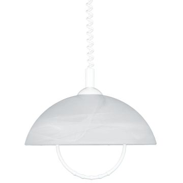 Prezent ALBERT 23068 Lampă cu pendul 1x60W/E27 IP20