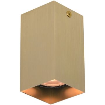 Italux Ander CLN-28394-S-GD Lumină montată pe suprafață 1x10W/GU10 IP20