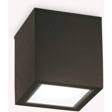 Ideal Lux TECHO 251578 Lumină montată pe suprafață 1x20W/GU10 ip54