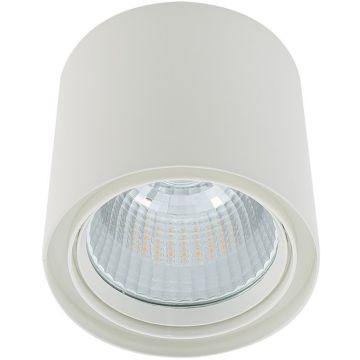 Italux Luna White 3800LM WG-706R/WU-WW/70 Lumină montată pe suprafață 1x40W/LED 3000K 3800lm IP20