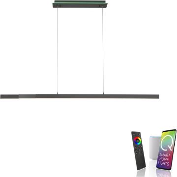 Paul Neuhaus Q-ARIAN 2569-13 Lampă cu pendul 4x55W/LED 2700-5000k 5520lm ip20