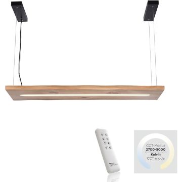 Paul Neuhaus PALMA 2625-79 Lampă cu pendul 1x27W/LED 2700-5000k 2750lm ip20
