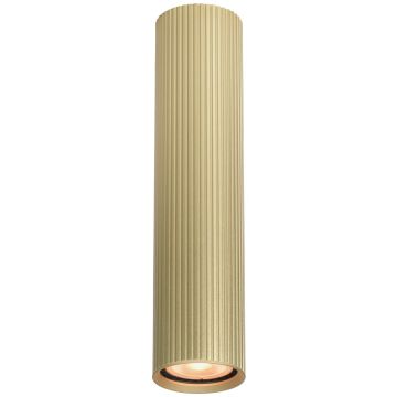 Italux Rilok CLN-83920-L-GD Lumină montată pe suprafață 1x10W/GU10 IP20