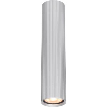 Italux Rilok CLN-83920-M-ALU Lumină montată pe suprafață 1x10W/GU10 IP20
