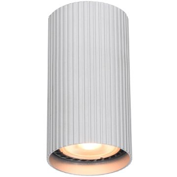Italux Rilok CLN-83920-S-ALU Lumină montată pe suprafață 1x10W/GU10 IP20