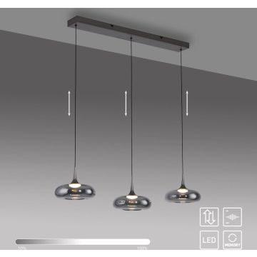 Paul Neuhaus POSH 15693-15 Lampă cu pendul 3x6,3W/LED 3000k 1000lm ip20
