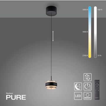 Paul Neuhaus PURE FALLING RINGS 2503-18 Lampă cu pendul 1x8W/LED 2200-5000k 310lm ip20