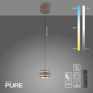 Paul Neuhaus PURE FALLING RINGS 2503-97 Lampă cu pendul 1x8W/LED 2200-5000k 310lm ip20