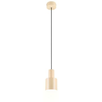Trio AGUDO 319400144 Lampă cu pendul 1x10w/e27 ip20
