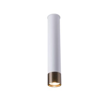 Antigo Eido 8251 Lumină montată pe suprafață 1x10W/GU10 IP20