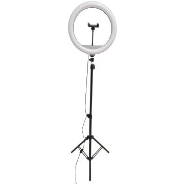 Polux SELFIE 327598 Lampă de birou 1x15W/LED 2700K-4000K-6000K 330lm IP20