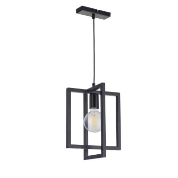 Sigma Lighting EDEN 32231 Lampă cu pendul 1x60W/E27