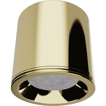Maxlight FORM C0217 Lumină montată pe suprafață 1x50w/gu10 ip65