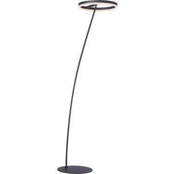 Paul Neuhaus TITUS 381-13 Lampă de podea 1x23,5W/LED 2570lm ip20