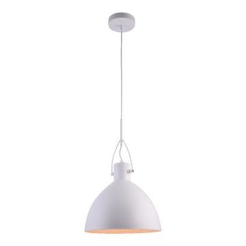 Prezent ANDROS II. 46301 Lampă cu pendul 1x40W/E27 IP20