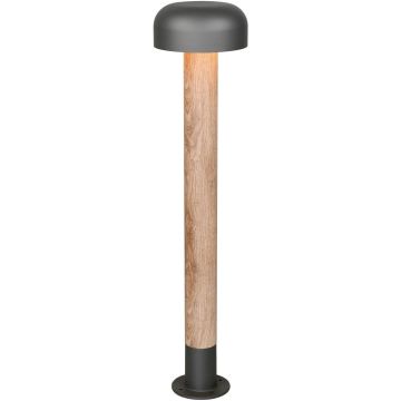 Trio FRASER 462560135 Lampă de podea 1x10w/e27 ip54