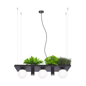 Zuma Line PLANT 5555 Lampă cu pendul 40W/3xE14|2xgu10 IP20
