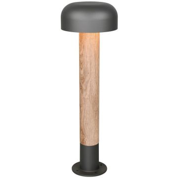 Trio FRASER 562560135 Lampă de podea 1x10w/e27 ip54