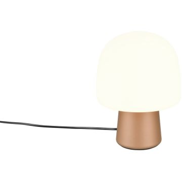 Trio STEEN 568200165 Lampă de masă 1x10w/e14 ip20