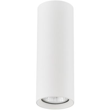 Alfa ARTEMIS 59024 Lumină montată pe suprafață 1x10W/GU10