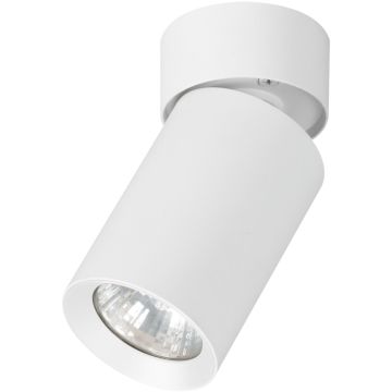 Alfa FLEX 59026 Lumină montată pe suprafață 1x10W/GU10