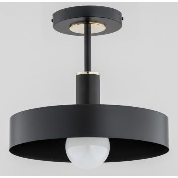 Alfa BERYT 60976 Lampă de tavan 1x60W/E27 IP20