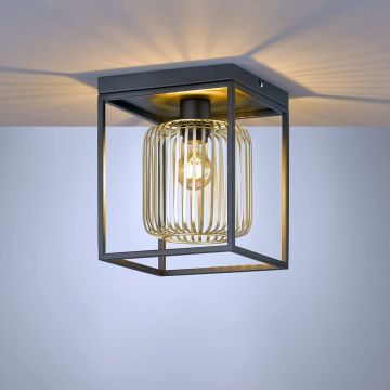 Fischer&Honsel Caydo 21294 Lampă de tavan 1x40W/E27 IP20