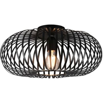 Trio JOHANN 606900132 Lampă de tavan 1x60w/e27 ip20