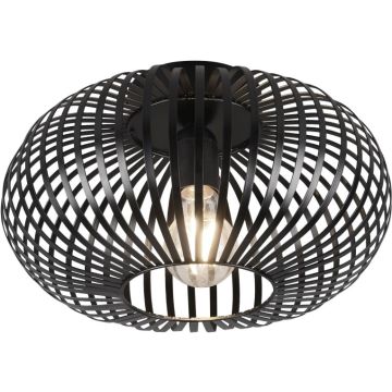 Trio JOHANN 606903032 Lampă de tavan 1x60w/e27 ip20