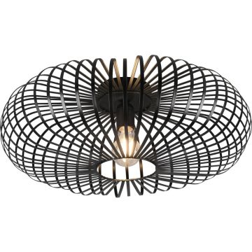 Trio JOHANN 606905032 Lampă de tavan 1x60w/e27 ip20