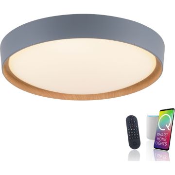 Paul Neuhaus Q-EMILIA 6118-15 Lampă de tavan 1x40W/LED 2700-5000k 3720lm ip20