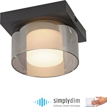 Paul Neuhaus RIKA 6162-18 Lampă de tavan 1x6W/LED 3000k 680lm ip20