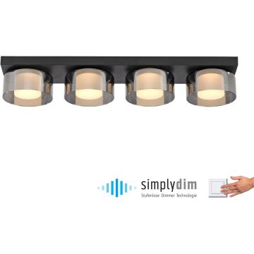 Paul Neuhaus RIKA 6164-18 Lampă de tavan 4x24W/LED 3000k 3800lm ip20