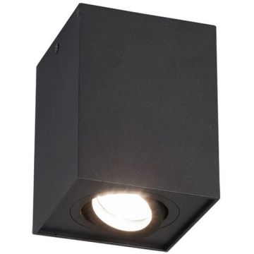 Trio BISCUIT 613000132 Lumină montată pe suprafață 1x35w/gu10 ip20