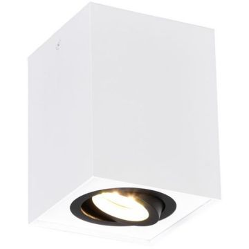 Trio BISCUIT 613000134 Lumină montată pe suprafață 1x35w/gu10 ip20