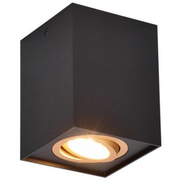Trio BISCUIT 613000180 Lumină montată pe suprafață 1x35w/gu10 ip20
